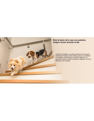 Cámara Wi-Fi EZVIZ H6 3K: Seguridad Interior con Calidad y Visión Clara